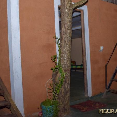 Pidurangala Hostel Sigirija Zewnętrze zdjęcie