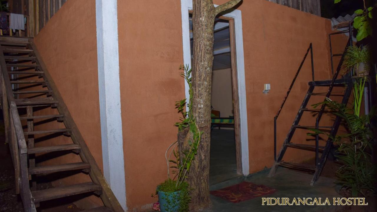 Pidurangala Hostel Sigirija Zewnętrze zdjęcie