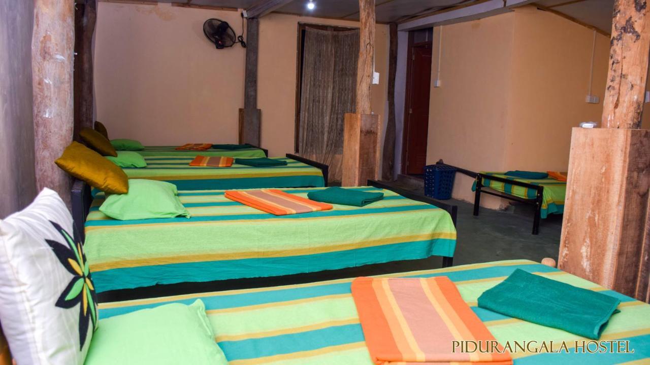 Pidurangala Hostel Sigirija Zewnętrze zdjęcie